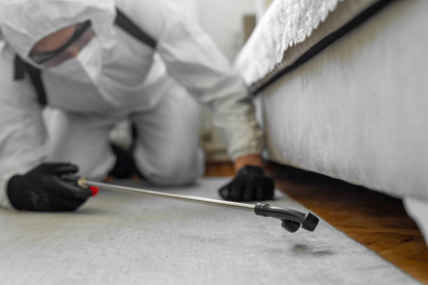 Professional Termite Control technician working in Woodlawn, MD