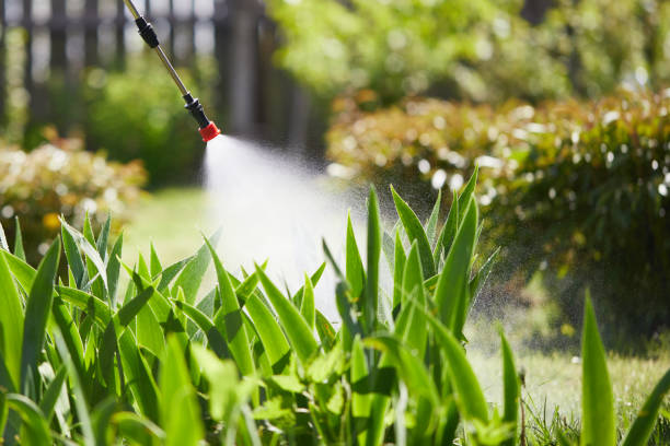 24/7 Emergency Termite Control experts in Woodlawn, MD