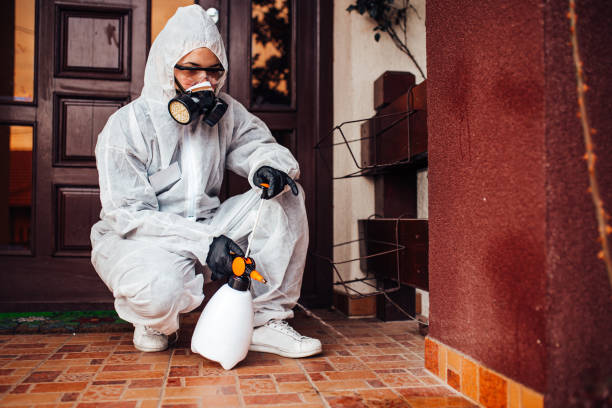 Reliable Termite Control contractor in Woodlawn, MD by Nex Pest Control