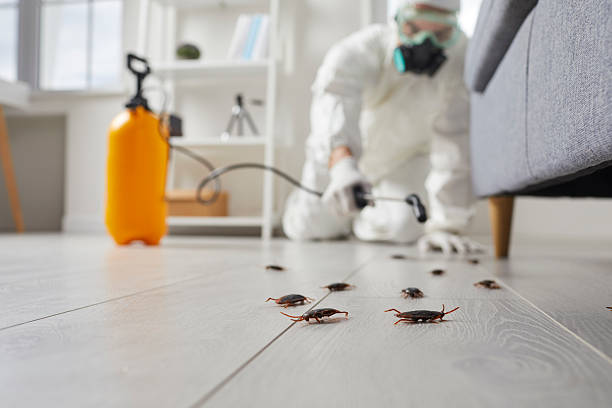 Trusted Cockroach Control service in Woodlawn, MD - Nex Pest Control