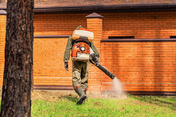 Trusted Mosquito Control service in Woodlawn, MD - Nex Pest Control